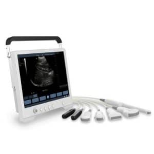 canine ultrasound scanning